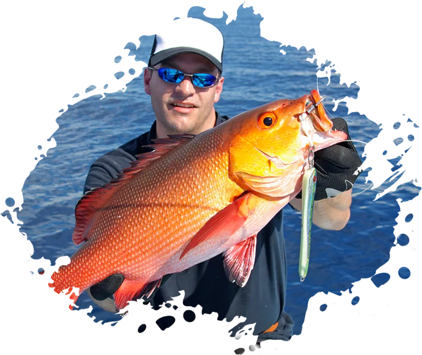 Modern Design Exotic Fishinizerry - 斗鱼网页版