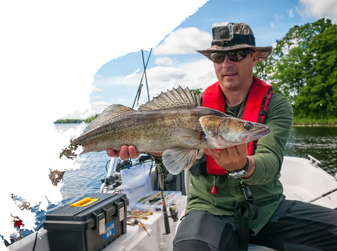 Modern Design Gears Fishing Rods - 斗鱼网页版